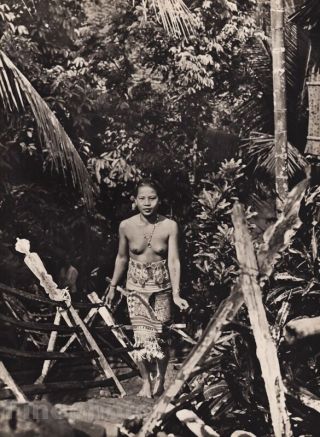 1940 Borneo Female Nude Breasts Iban Fashion Photo Gravure By K.  F.  Wong
