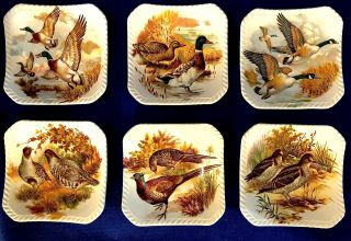 6 Vtg Royal Adderley Bone China Floral Game Bird Coaster,  Plates,  Dishes 4x4”