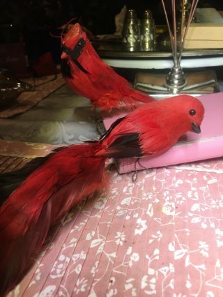 (2) Vintage Feather Red Cardinals Birds