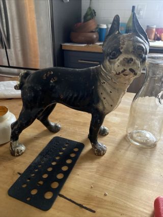 Antique Vintage Cast Iron French Bull Dog Doorstop Boston Terrier Boxer