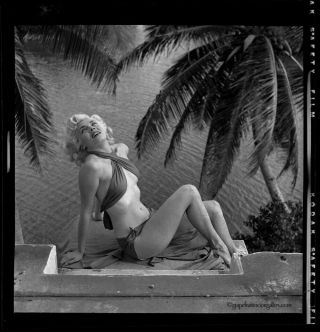 Bunny Yeager ' 50s Pin - up Negative Bottled Blonde Bathing Beauty Lisa Winters Hot 2