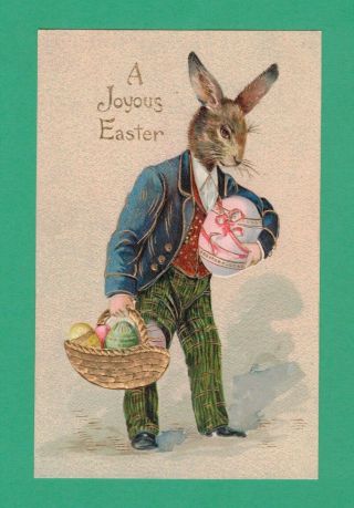 Vintage Easter Postcard Dressed Rabbit Gent Large Egg Basket Colored Eggs