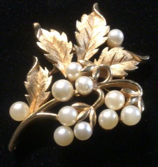 Vintage Signed Trifari Faux Pearl Brushed Gold Tone Leaf Brooch Pin