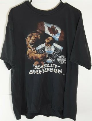 Vtg Harley Davidson Newfoundland,  Canada 3d Ferocious Grizzly Bear Tshirt No Tag