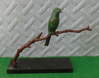 Antique Bronze Statue Song Bird On Branch Austrian Cold Painted Circa 1890