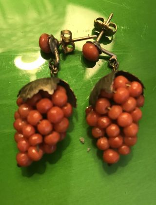 Antique Victorian 14k Gold Coral Grape Bunch Cluster Earrings
