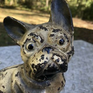 Antique Hubley Cast Iron French Bulldog Doorstop Paint 8” Tall Frenchie 2