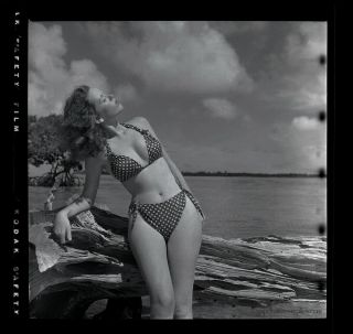 Bunny Yeager 1954 Pin - up Camera Negative Photograph Bikini Model Carolyn Pawley 2