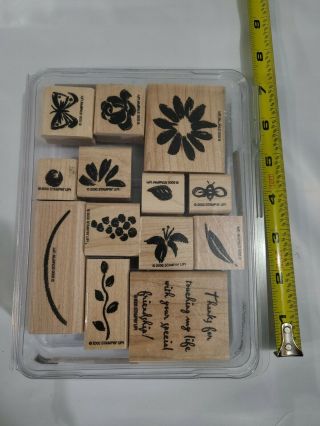 Stampin Up Watercolor Garden Set Of 13 Wood Rubber Stamps Retired Vintage 2000