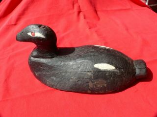 19th C.  Primitive Hand Carved Wooden Duck Decoy A Loon Named Old Pete