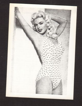 Jayne Mansfield Swimsuit Movie Film Star Vintage Photo Card From Belgium D
