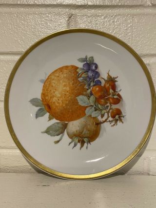 Vintage Pmr Bavaria Germany Golden Crown E&r 1886 Harvest Fruit Orchard Plate