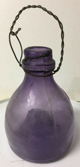 Antique Fly Trap Purple Amethyst Glass Catcher Wasp Insect Bug Moth