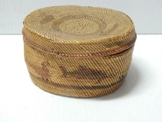 Whale,  Duck Pictorial Old Antique Vintage Makah / Nootka Indian Lidded Basket