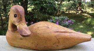Vintage - Wood Duck Decoy - 9.  5”,  Hand Carved,  Canada,  Glass Eyes?unpainted