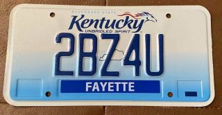 Kentucky Vanity License Plate Too Busy For You