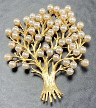 Vintage Brooch Pin 2.  5” Gold Tone Tree Glass Pearls Lot2