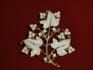 Vintage Coro Beige Enamel Leaves & White Round Beads Gold Tone Brooch