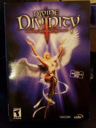Divine Divinity (pc,  2002) - Vintage Cd - Rom Game Big Box
