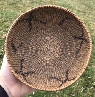 Antique Native American Hand Woven California Indian Basket Estate Find Nr C1900