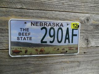 2017 Nebraska Beef Specialty License Plate In " The Beef State "