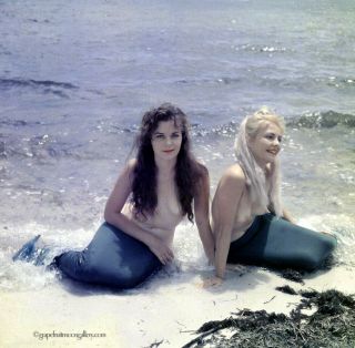 Bunny Yeager 60s Color Camera Transparency Photograph 2 Topless Mermaids Frolic