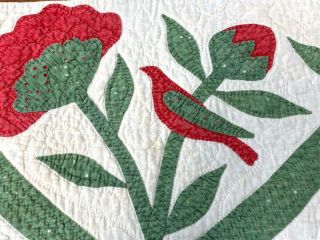 Antique C 1850s Flowers & Birds Album Applique Quilt Pc Red Green