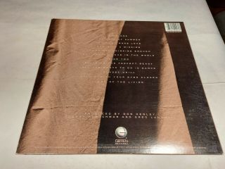 Don Henley Building The Perfect Beast Vintage Vinyl (1984 Geffen LP) 2