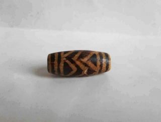 Antique Asia Burma Top Ancient Petrified Wood Pumtek Pyu Tiger Amulet Bead
