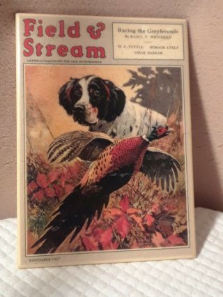Vintage Outdoors Dog And Pheasant German Short Field,  Stream 1927 Hadley Tile