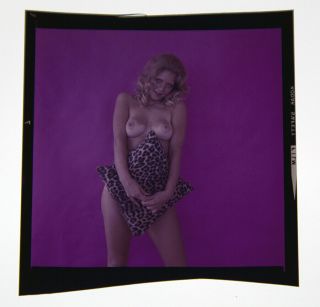 Bunny Yeager 1960s Color Camera Transparency Pretty Coy Blonde Temptress Sassy 2