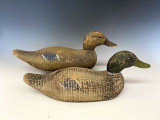 Victor Animal Trap Mallard Pair Duck Hunting Decoy Decoys Mississippi 1930