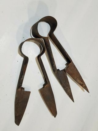 2 Vintage Goat Sheep Shears Sound England And Fulton Tool - Rusty