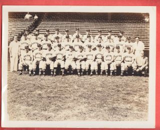 1948 Boston Red Sox Team Issue Glossy Type 1 8 X 10 Team Photo Williams