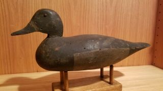 Rare Early 1880s Old Petersen? Tack Eye Hen Bluebill Wood Duck Decoy Detroit Mi