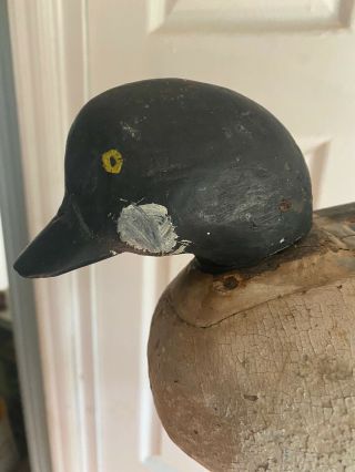 Very Early Antique Primitive Hand Carved Wooden Duck Decoy Well Over 100 Years 2