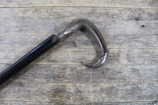 Antique Horn Handled Gl & Co Sterling Silver Walking Stick.