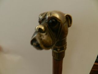 Vintage Wooden Walking Stick With Heavy Metal Dog Handle - Glass Eyes