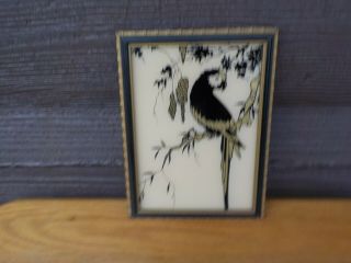 Vintage Reverse Glass Painting Of A Parrot Black & Gold Color