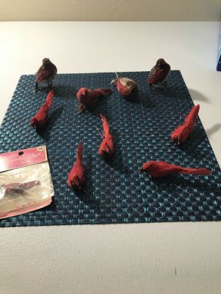 10 Vintage Birds Christmas Ornaments Real Feathers Cardinals,  Other Red Birds