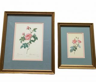 Vintage Pierre Joseph Redoute Two Botanical Rose Prints