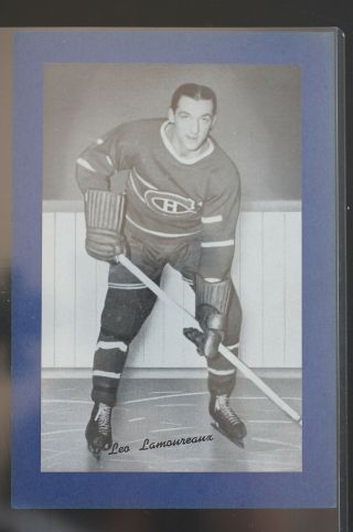 Beehive Hockey Photo Montreal Canadien Leo Lamoureux