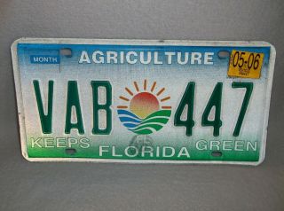 2006 Florida (agriculture) Keeps Florida Green License Plate Vab 447