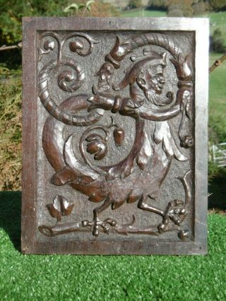 19thc Gothic Mahogany Carved Panel Chicken With Male Head C.  1850 Rt Face