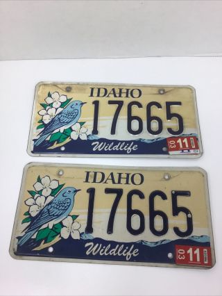 Idaho Wildlife Bluebird License Plate Pair 17665
