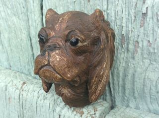 Large Antique Carved Wood Dogs Head Walking Stick Top Black Forest Glass Eyes