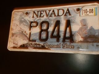 Vintage Nevada License Plate / Protect Pyramid Lake - Pl 84a - - - - 300