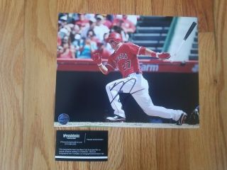Mike Trout Hand Signed Autograph 8x10 Photo Angels