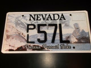 Vintage Nevada License Plate / Protect Pyramid Lake - Pl 57l - - - - 298