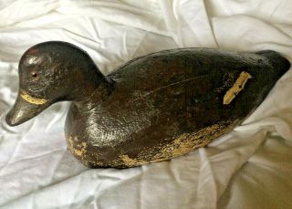 Antique Quebec Wood Carved Duck Decoy Glass Eyes,  Old Paint